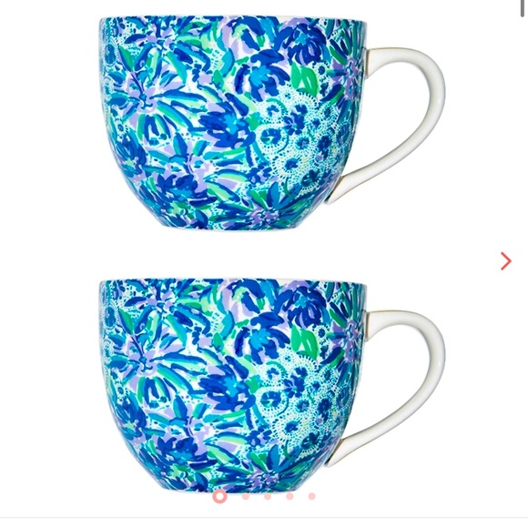 Lilly Pulitzer Other - NWT Lilly Pulitzer Ceramic Mugs Set of 2